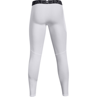 Men's HeatGear® Armour Leggings 