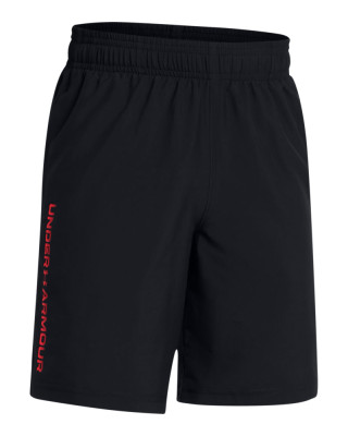 Boys' UA Tech™ Woven Wordmark Shorts 