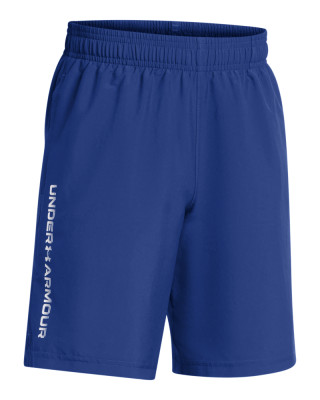 Boys' UA Tech™ Woven Wordmark Shorts 