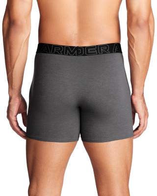 Долна облека UA PERFORMANCE COTTON - SOLID 6 IN 3PK 