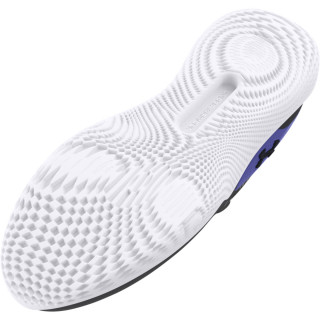 UA FLOW DYNAMIC INTLKNT 