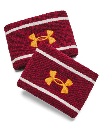 STRIPED PERFORMANCE TERRY WB 