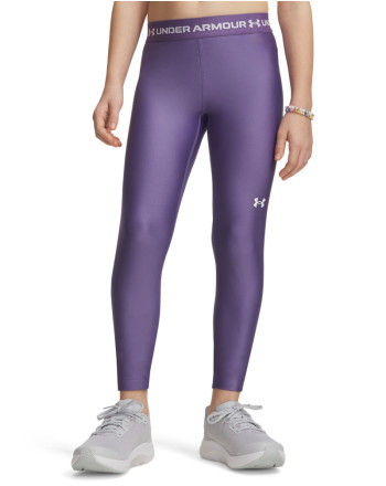 Хеланки HEATGEAR LEGGING 