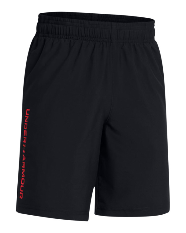 Boys' UA Tech™ Woven Wordmark Shorts 