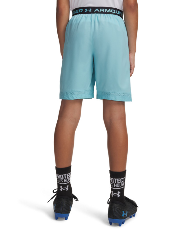 Шорц UA VANISH SHORTS 