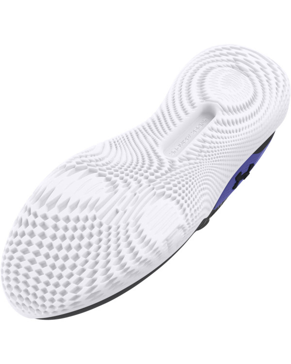 UA FLOW DYNAMIC INTLKNT 