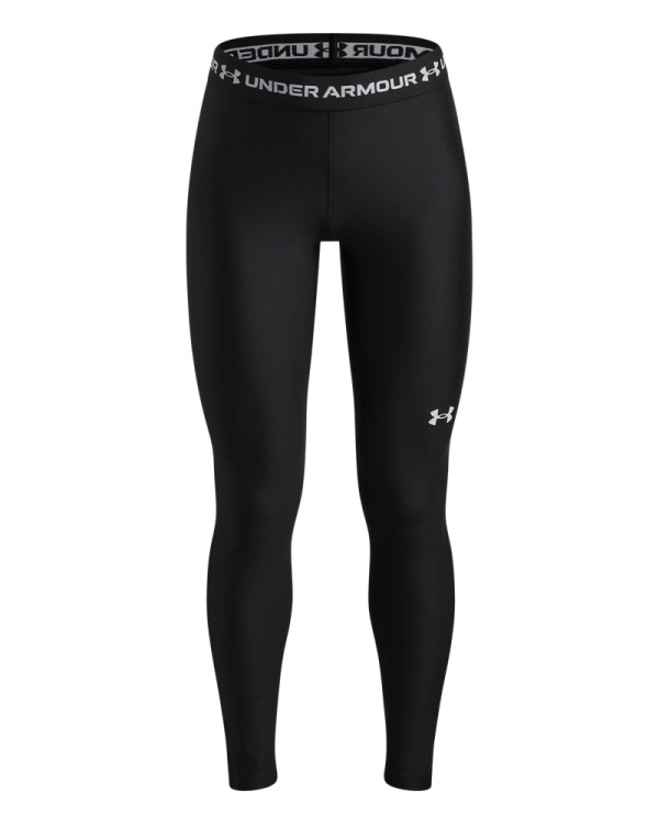 Хеланки HEATGEAR LEGGING 