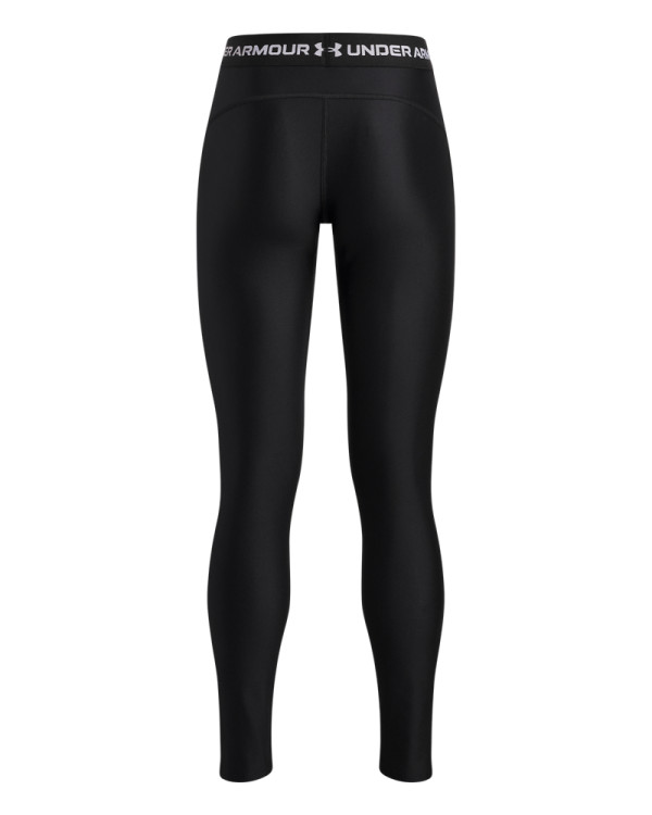 Хеланки HEATGEAR LEGGING 