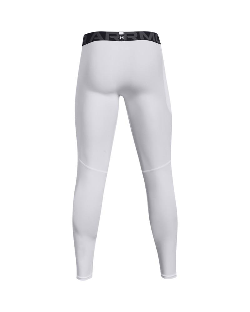 Men's HeatGear® Armour Leggings 