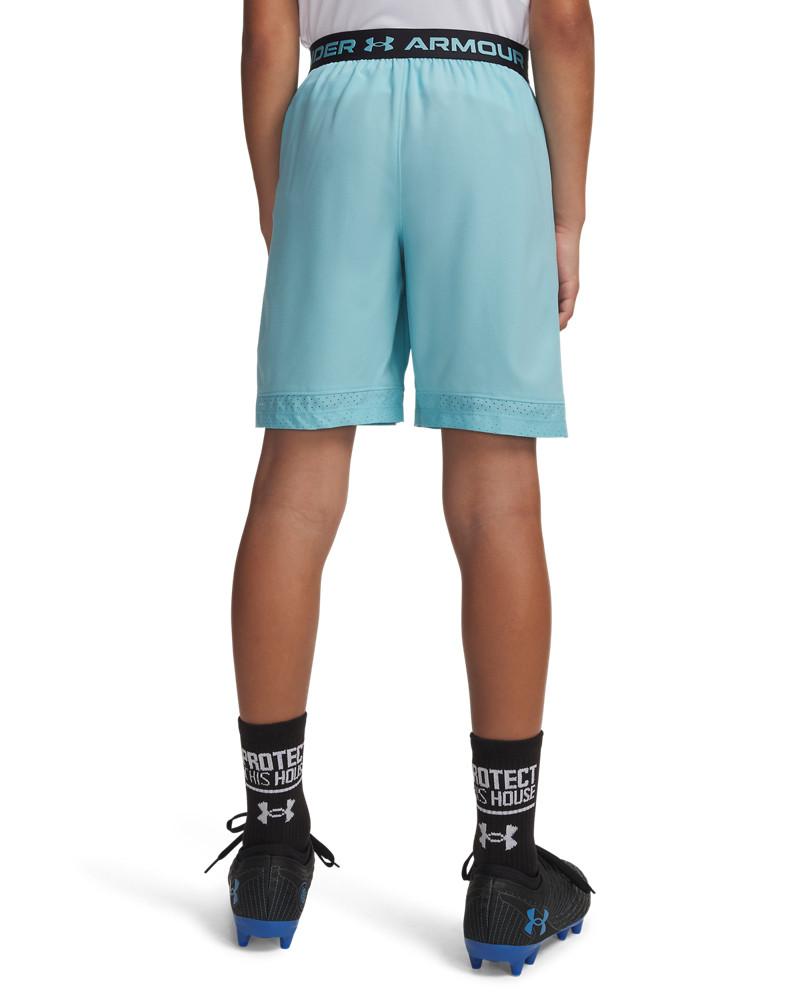 Шорц UA VANISH SHORTS 