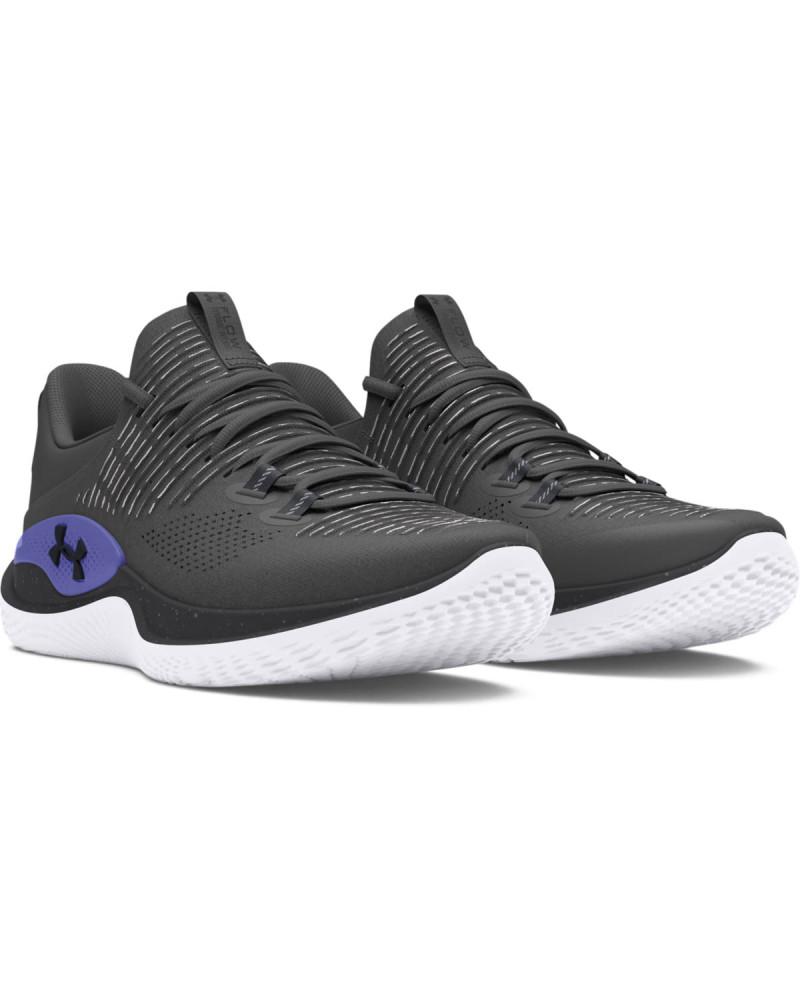 UA FLOW DYNAMIC INTLKNT 