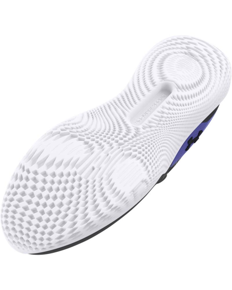 UA FLOW DYNAMIC INTLKNT 